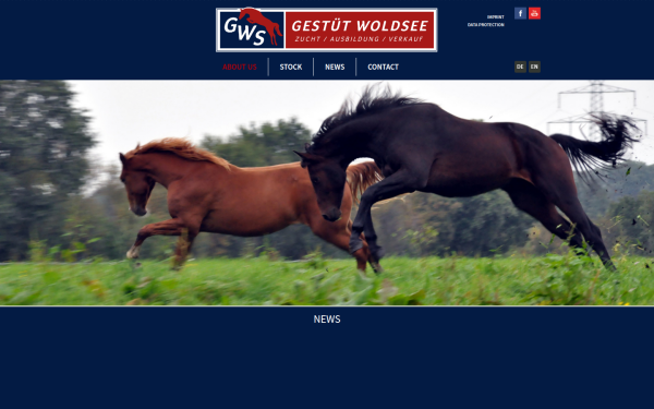 gestuet-woldsee.de