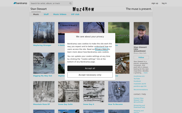muz4now.bandcamp.com
