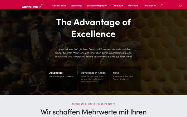 advellence.com