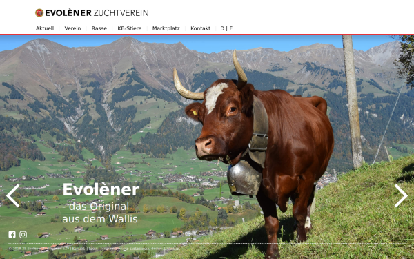 evolener-zuchtverein.ch