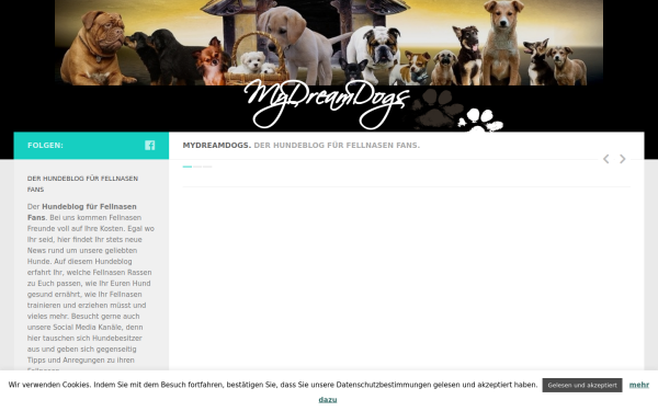 mydreamdogs.de