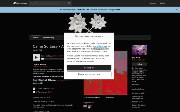 drwolf.bandcamp.com