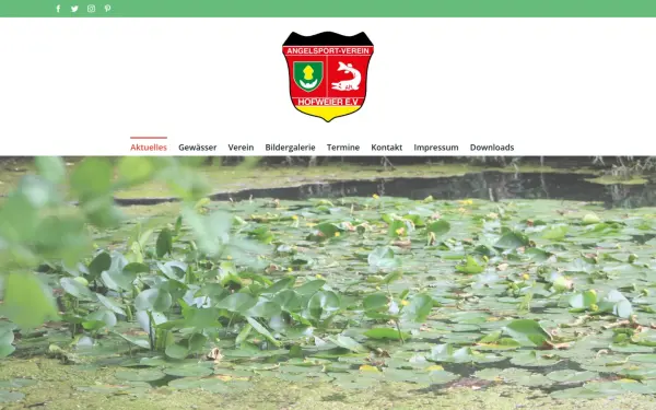 www.asv-hofweier.de