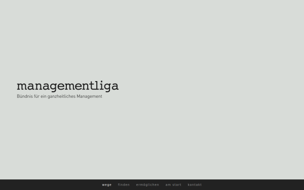 www.managementliga.eu
