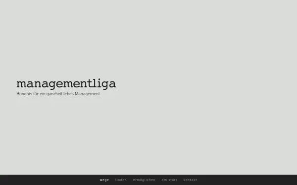 www.managementliga.eu