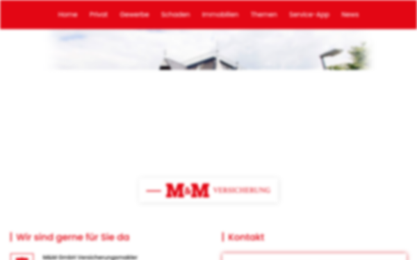 www.mm-nes.de