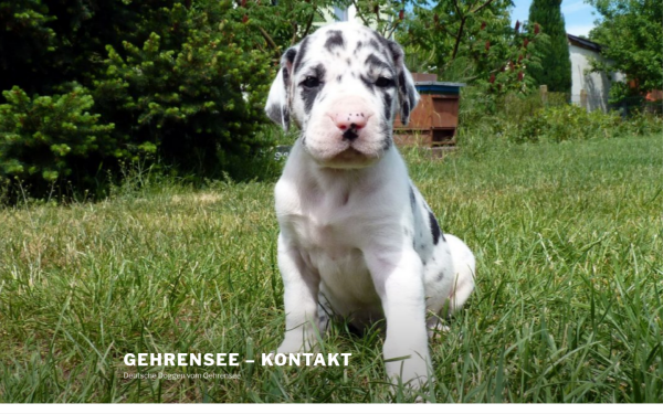 gehrenseedoggen-kontakt.be