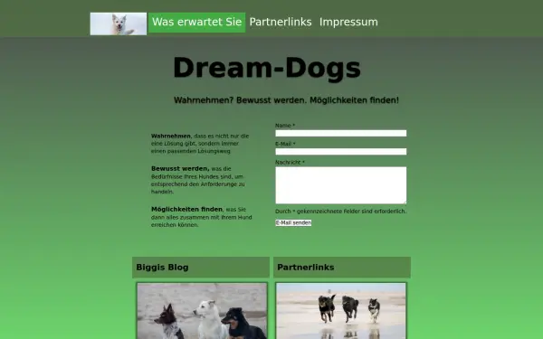 dream-dogs.de
