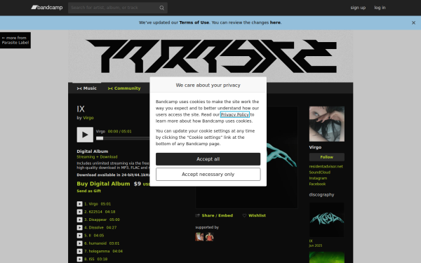 futurevirgo.bandcamp.com