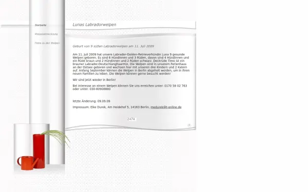 lunaslabradorwelpen.de