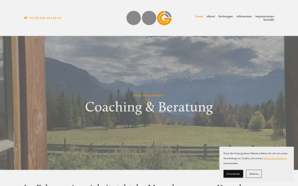 www.goisernconsult.at