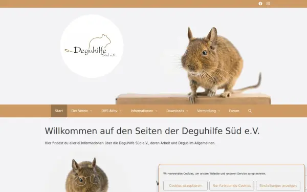 deguhilfe-sued.de