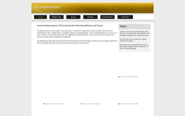 16katzentatzen.de
