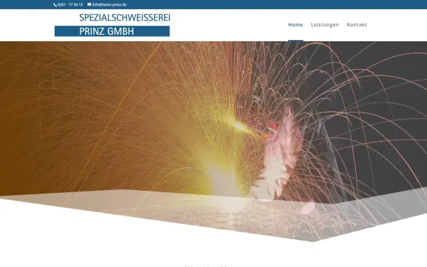 www.heinz-prinz.de