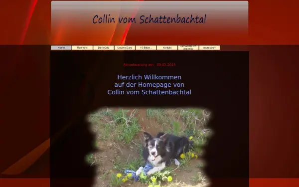 1a-bordercollie.de