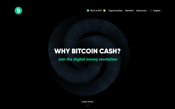 whybitcoincash.com