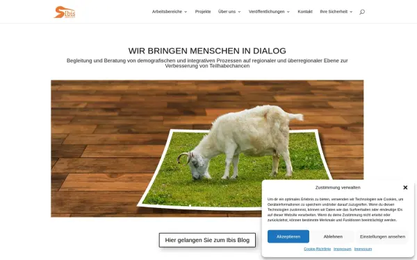 ibis-institut.de