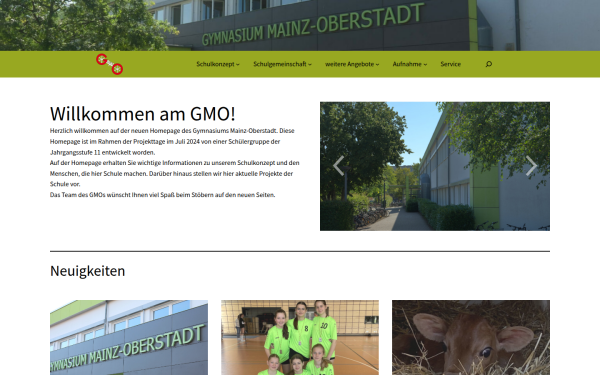 gymnasium-oberstadt.de