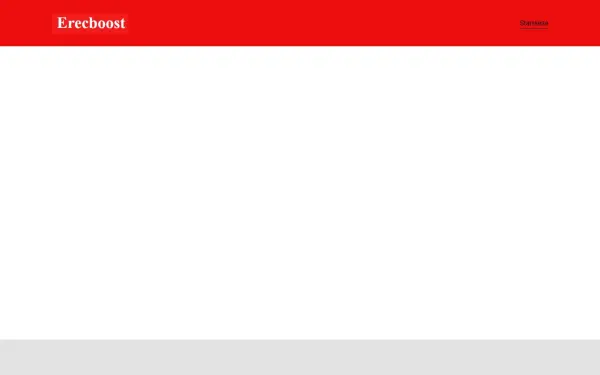 erec-boost.de