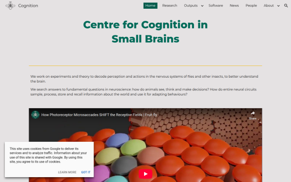 cognition.sites.sheffield.ac.uk