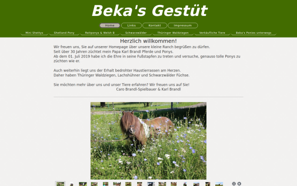 www.bekas-tierfreund.de