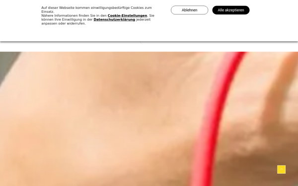www.elektro-bornschlegel.de
