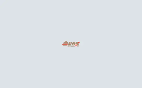 rox-services.de