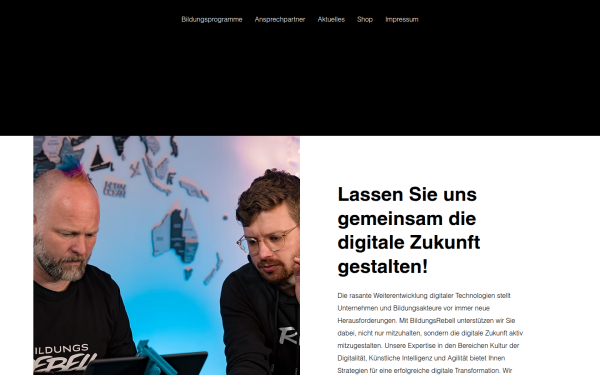 www.bildungsrebell.de