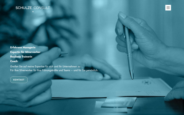 schulzeconsult.de