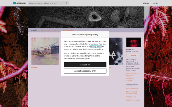 leeb0rn.bandcamp.com