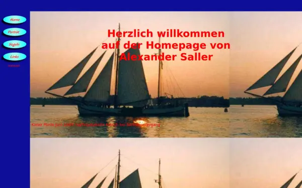 die-sallers.de