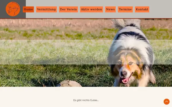 www.aktiv-fuer-hunde-in-not.de