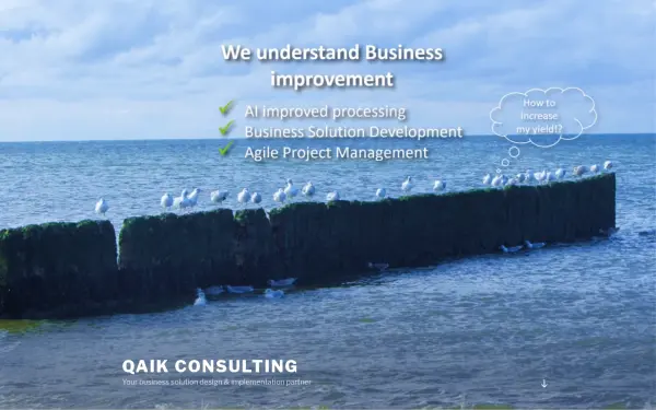qaik-consulting.de