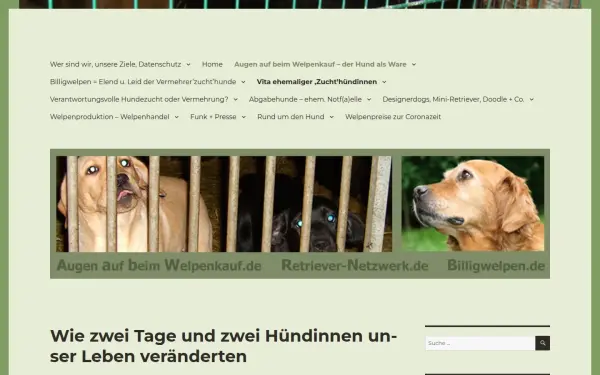 augen-auf-beim-welpenkauf.de