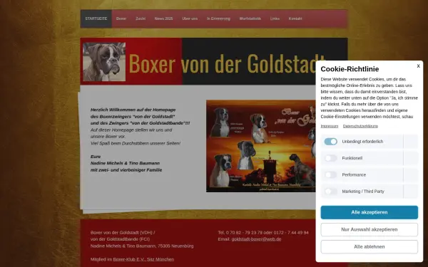 www.goldstadtboxer.de