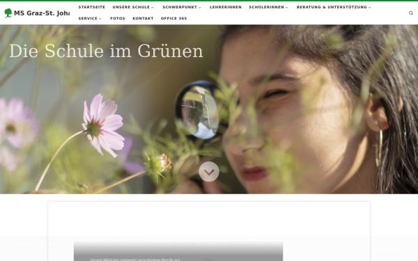 ms-graz-stjohann.at