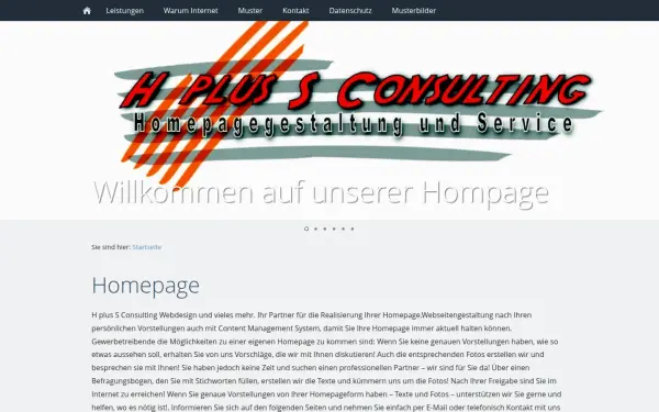 h-s-consulting.de