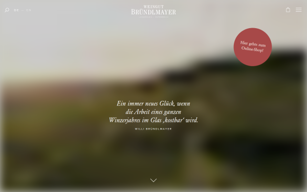 www.bruendlmayer.at