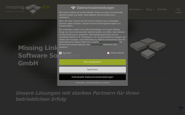 missing-link-software.de