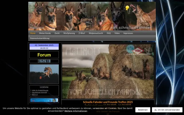 www.malinois-vom-schnellen-fahnder.de