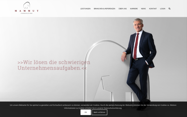 mammutconsulting.de
