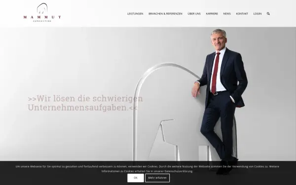 mammutconsulting.de