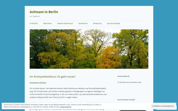 achtsaminberlin.de