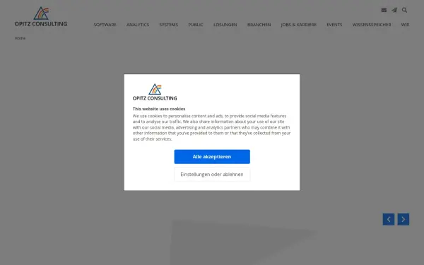www.opitz-consulting.com