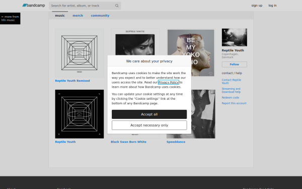 reptileyouthmusic.bandcamp.com