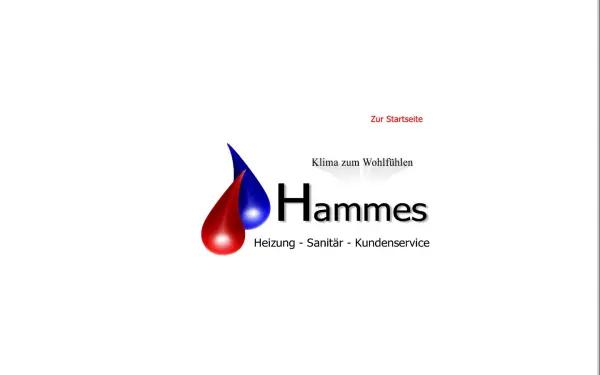 heizung-hammes.de