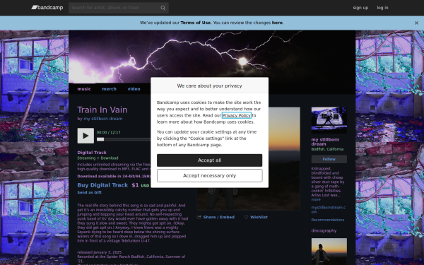 mystillborndream.com