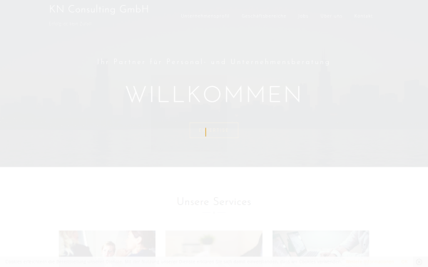 kn-consulting.de