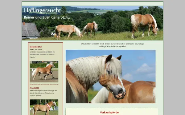 haflinger-generotzky.de