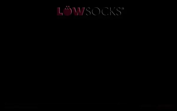 loewsocks.de